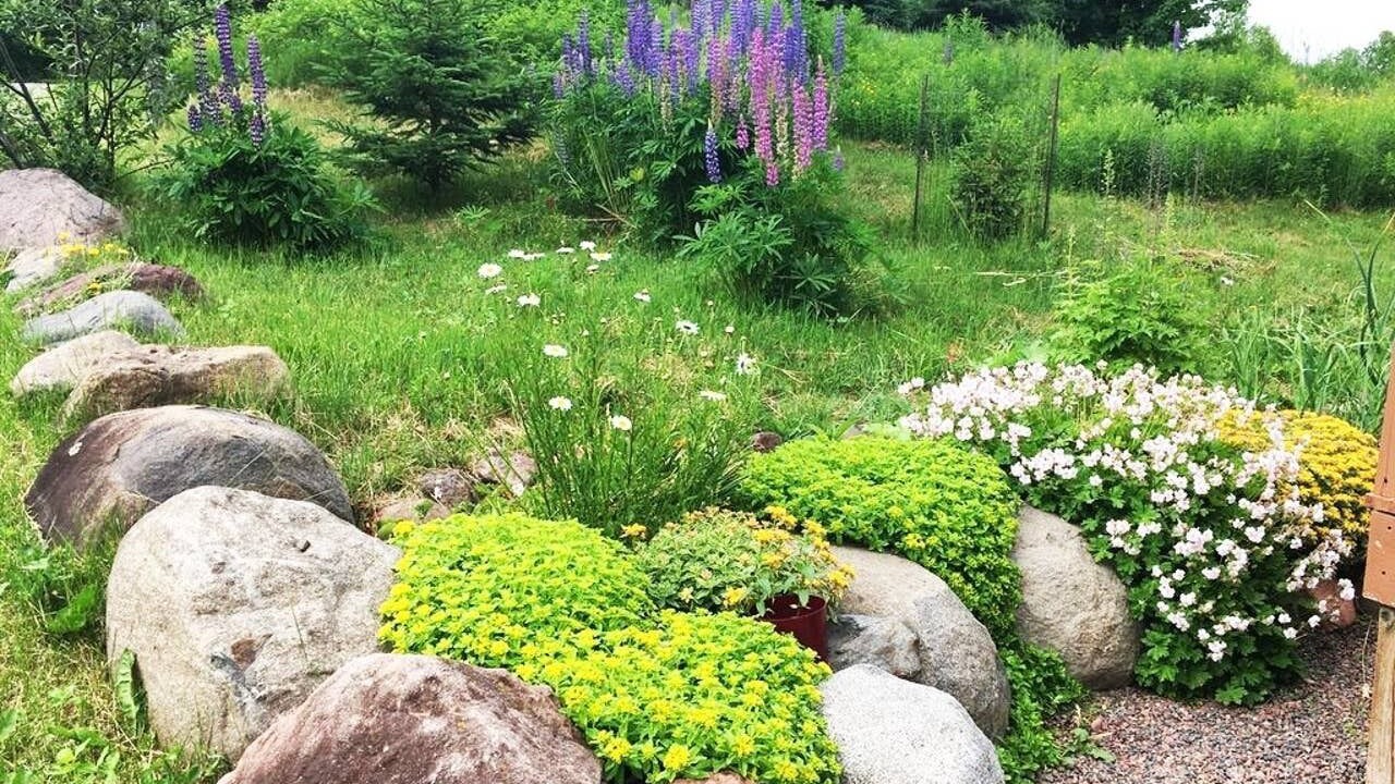 Photo of Outdoor in Lutsen