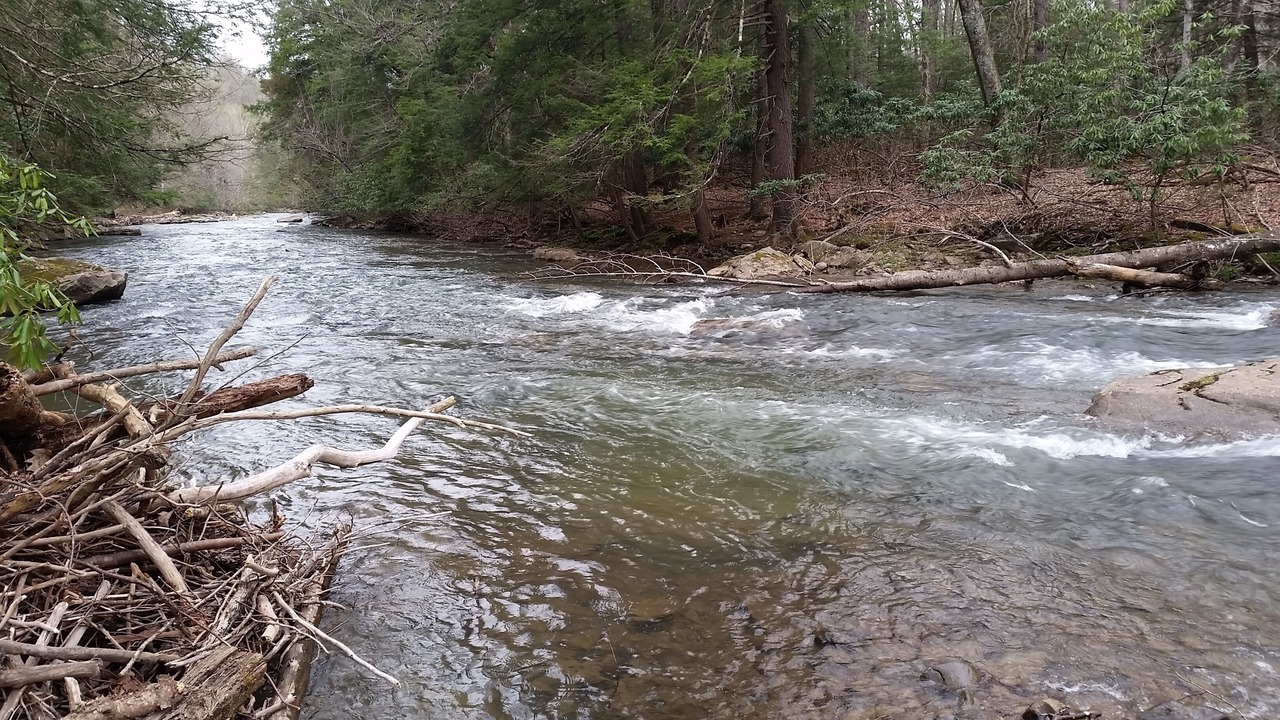 Photo of Others in French Creek