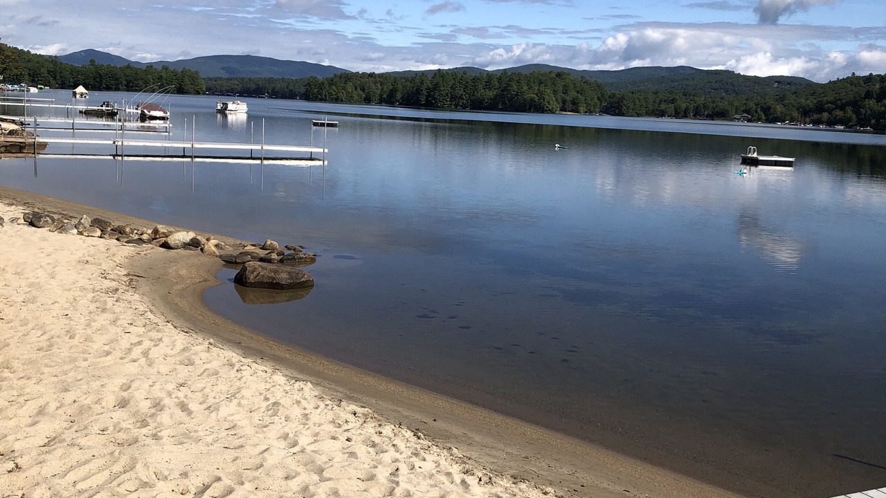 Photo of Others in Bristol