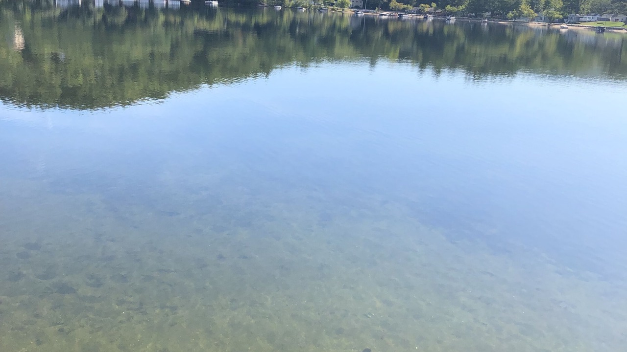 Photo of Others in Bristol