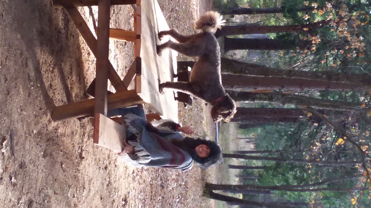 Photo of Outdoor in Nevada City