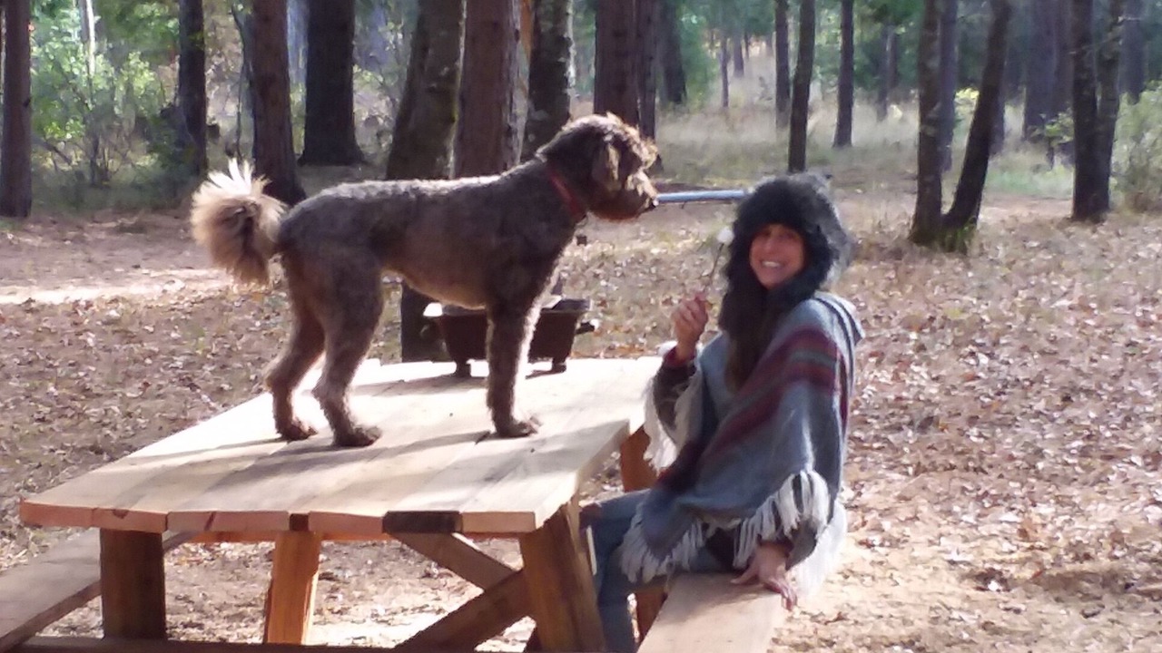 Photo of Others in Nevada City