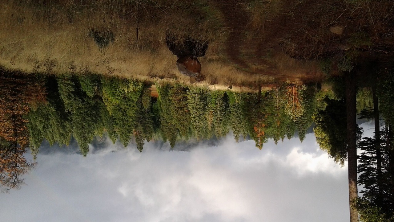 Photo of Outdoor in Nevada City