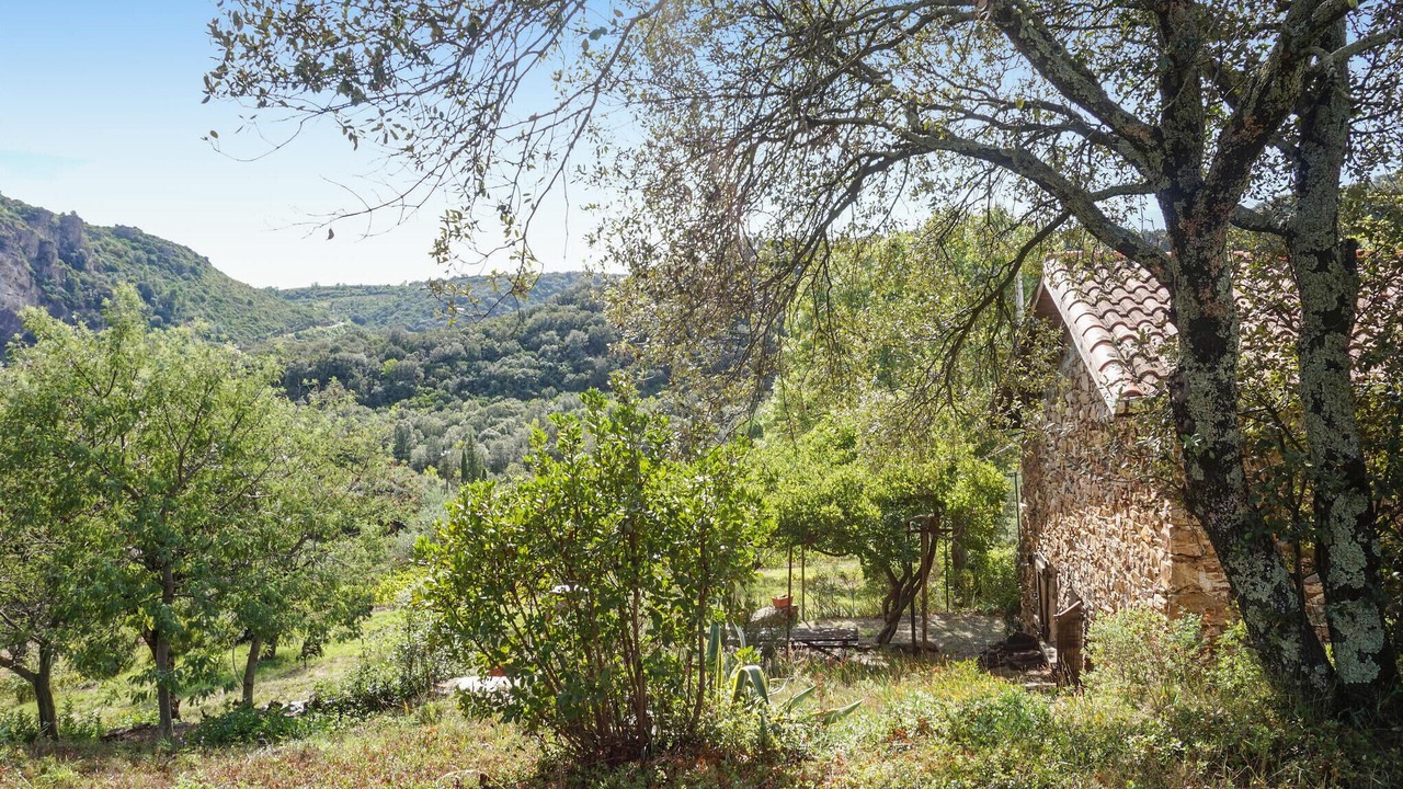 Photo of Others in Roquebrun