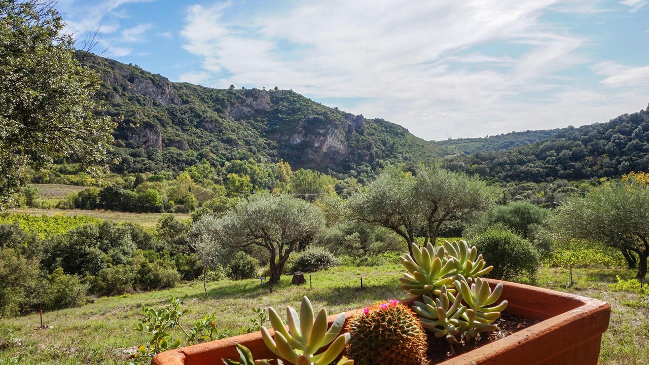 Photo of Bedroom in Roquebrun