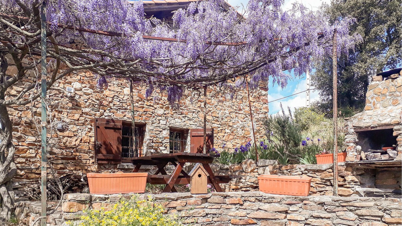 Photo of Others in Roquebrun