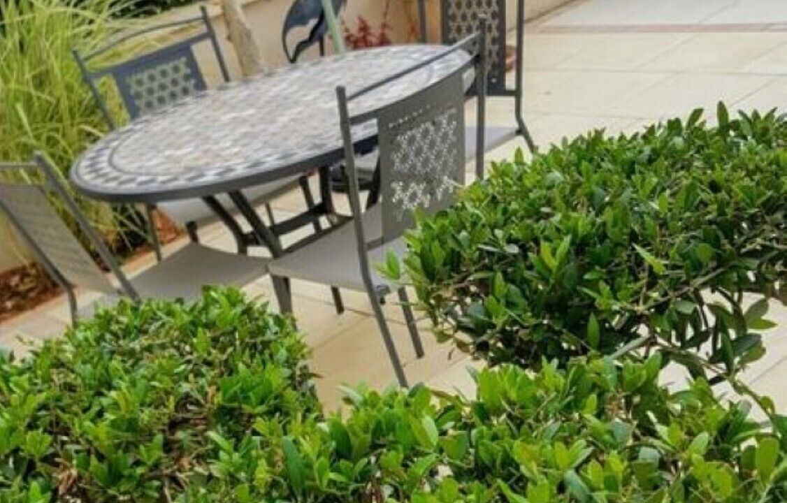 Photo of Outdoor in Saint-Sulpice-de-Faleyrens