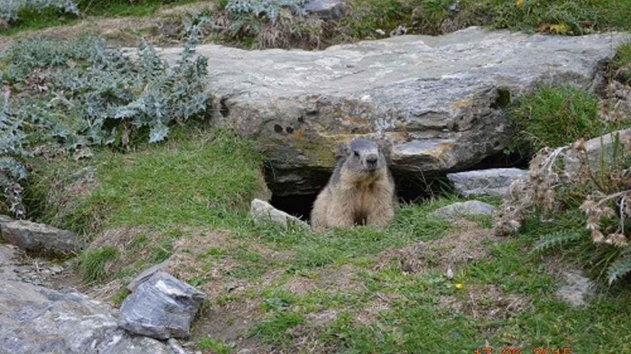 Photo of Outdoor in La Mongie