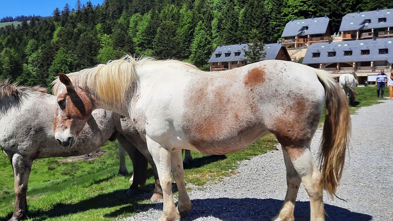 Photo of Others in La Mongie