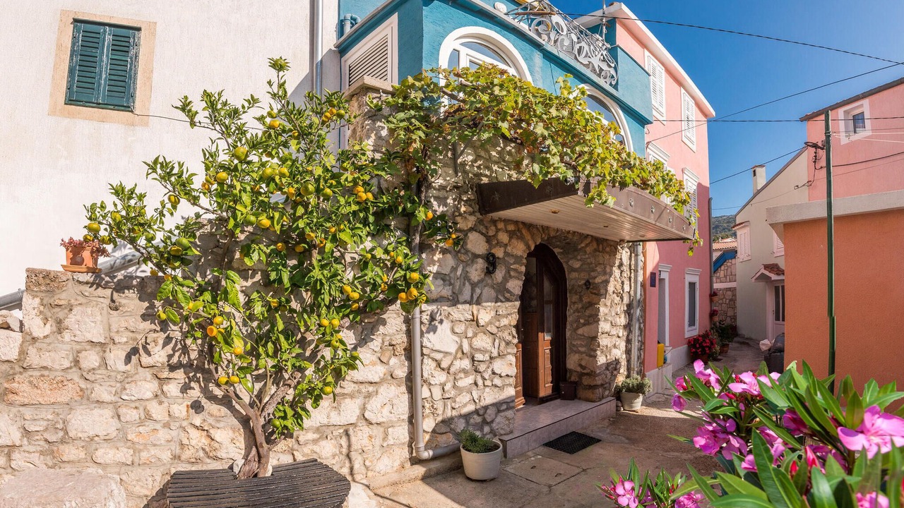Photo of Others in Miholascica