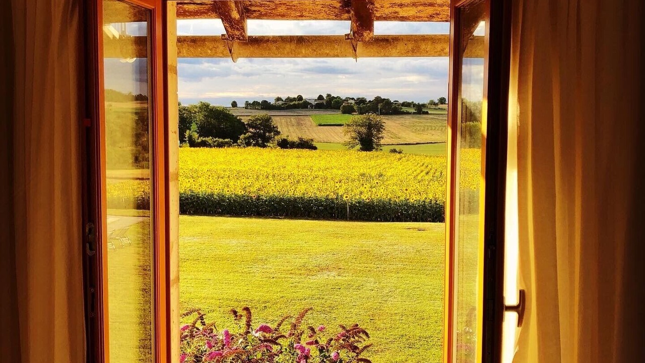 Photo of Outdoor in Saint-Severin