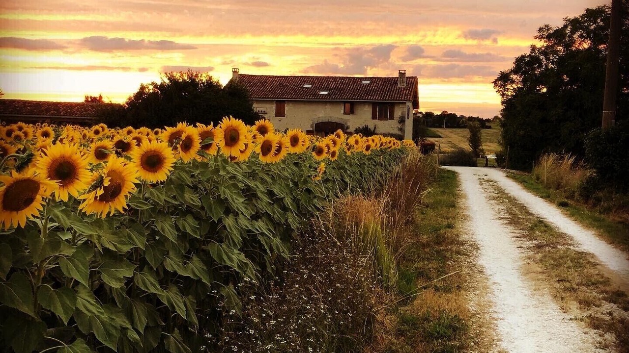 Photo of Others in Saint-Severin