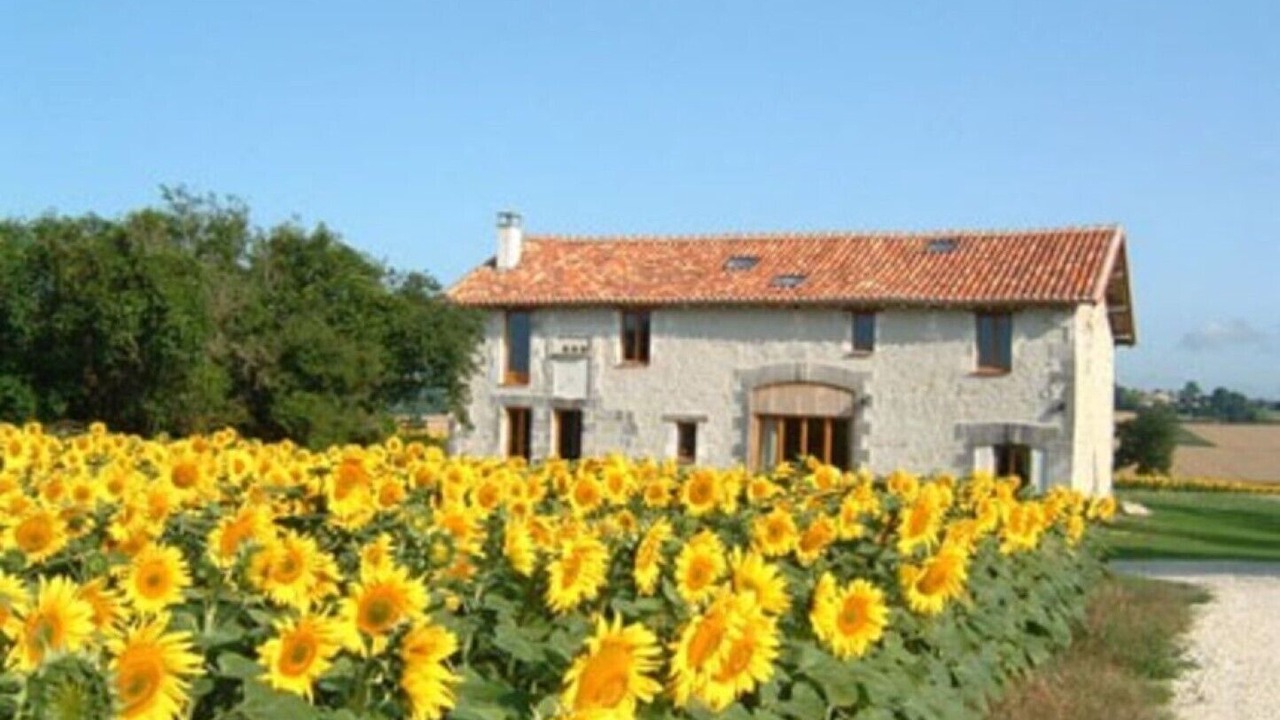 Photo of Outdoor in Saint-Severin