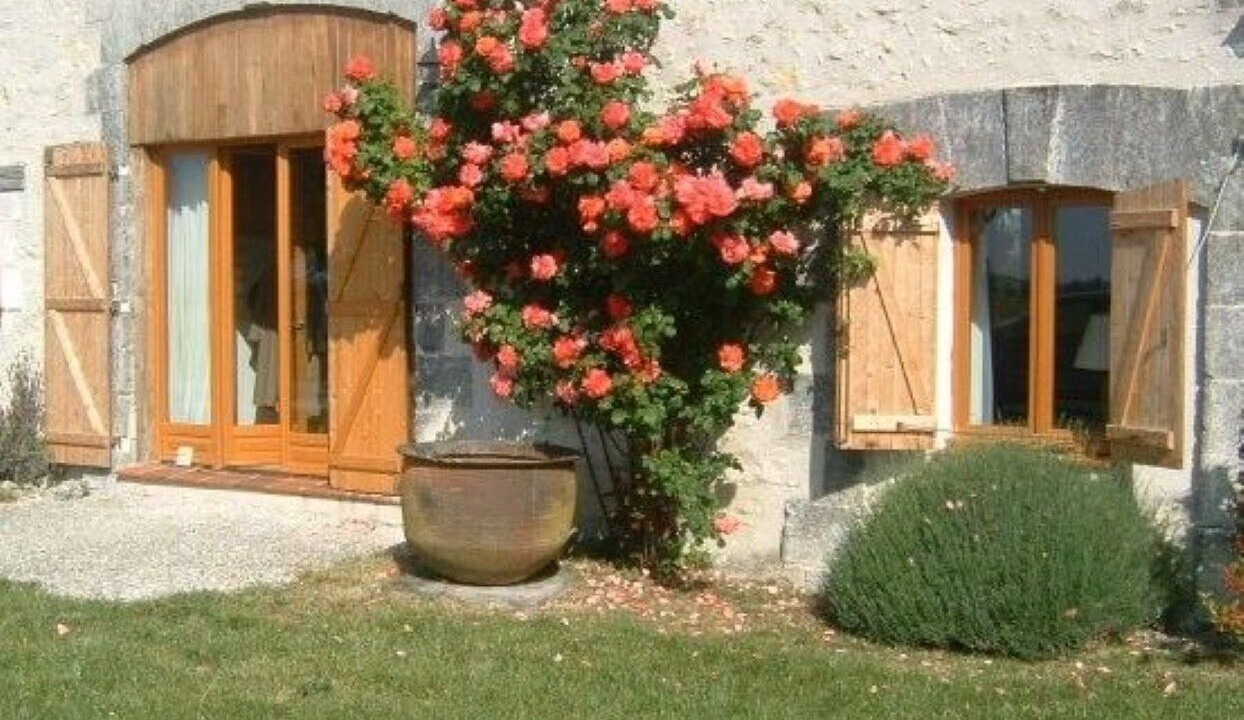 Photo of Others in Saint-Severin