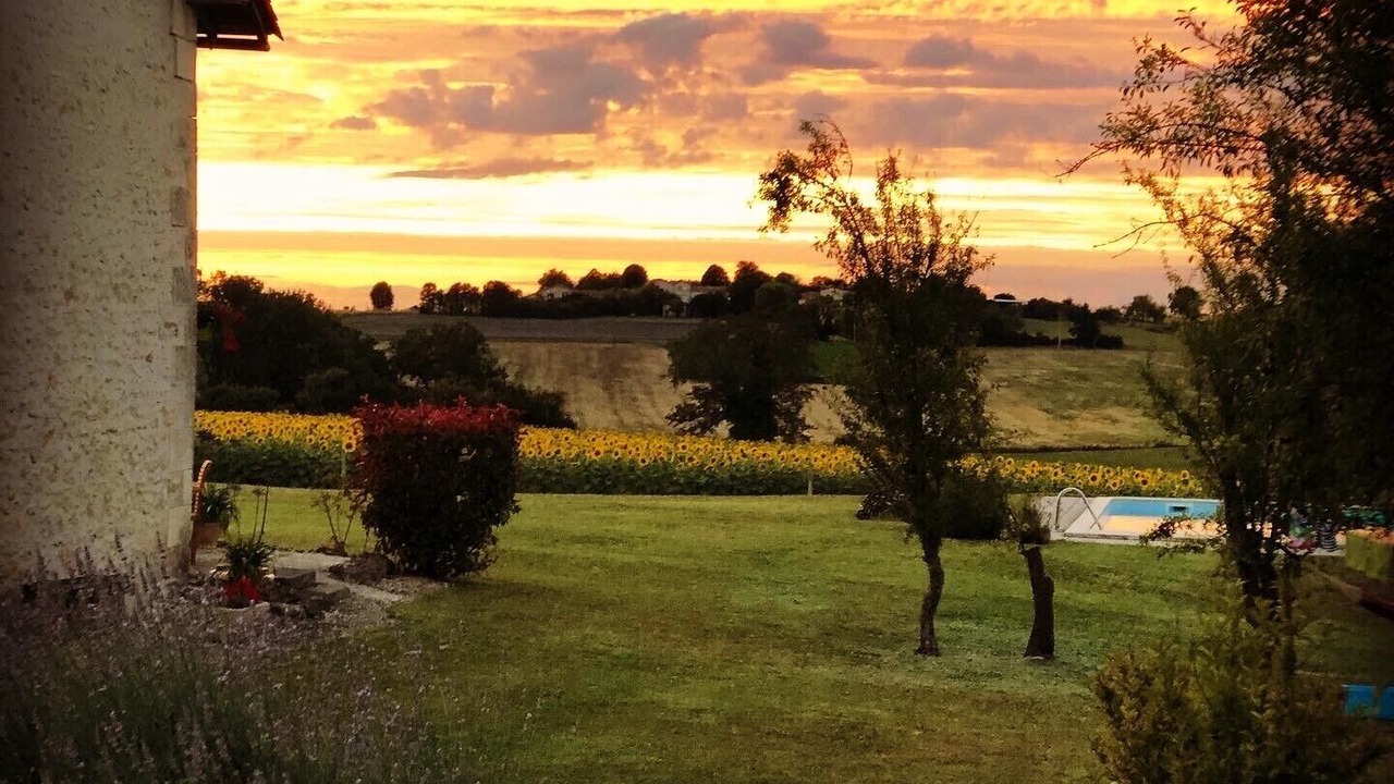 Photo of Outdoor in Saint-Severin