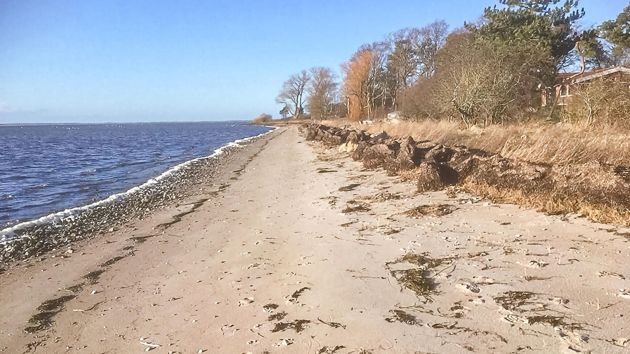 Photo of Others in Olsted