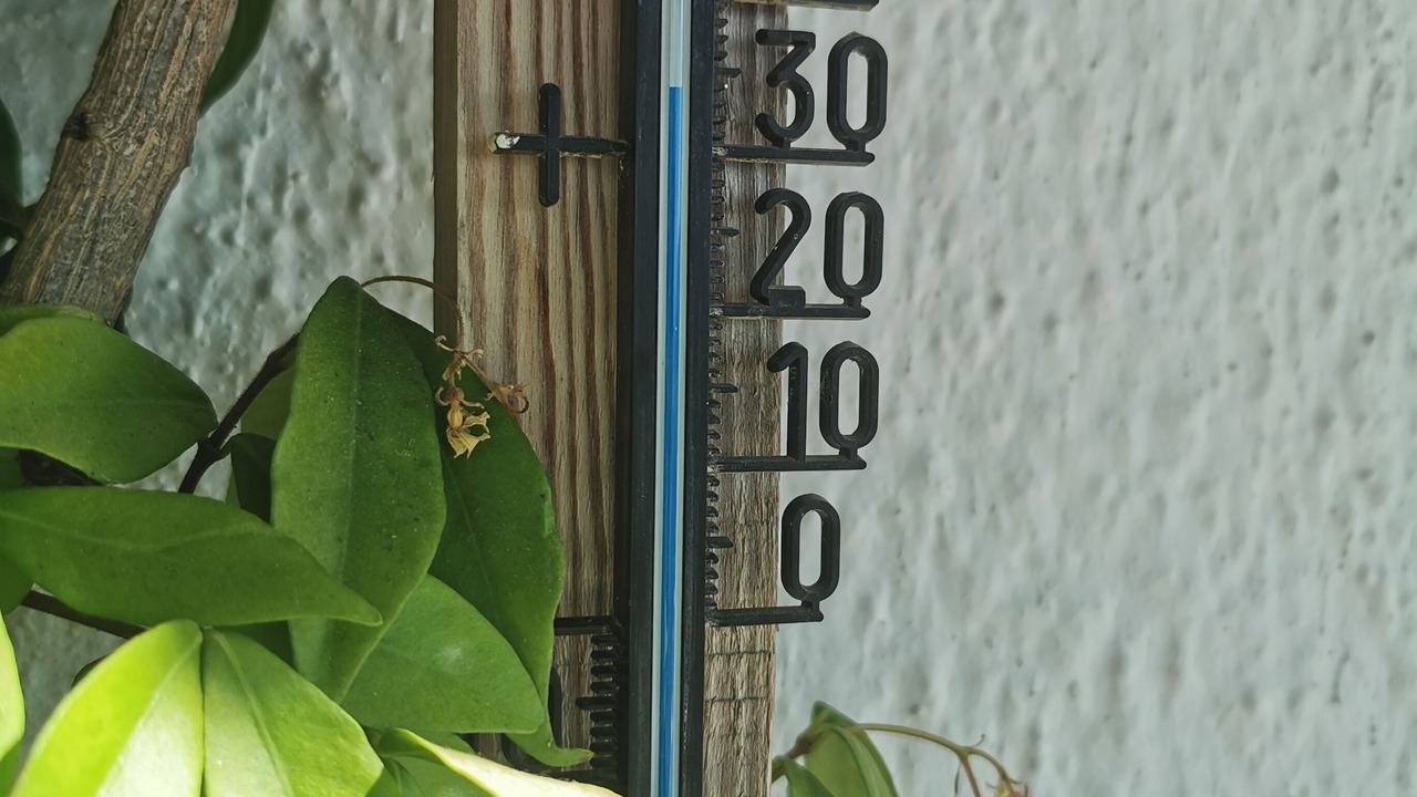 Photo of Outdoor in Benimeit