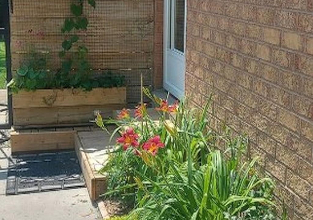 Photo of Outdoor in Alliston