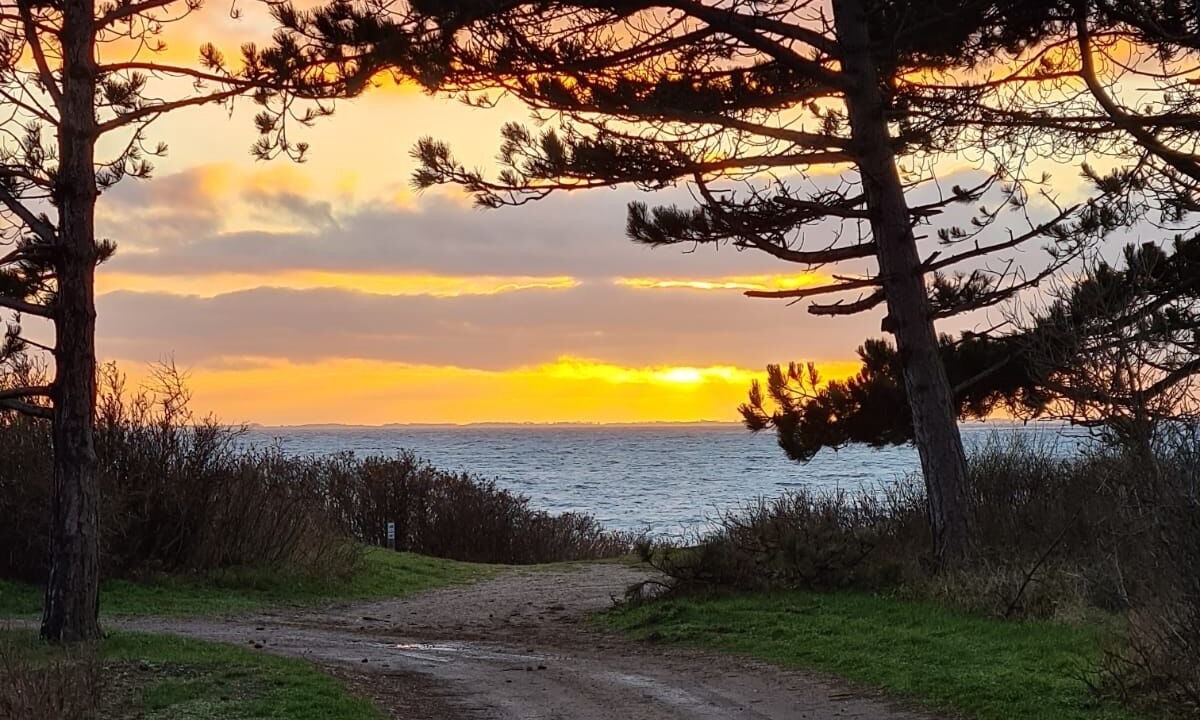 Photo of Outdoor in Yderby