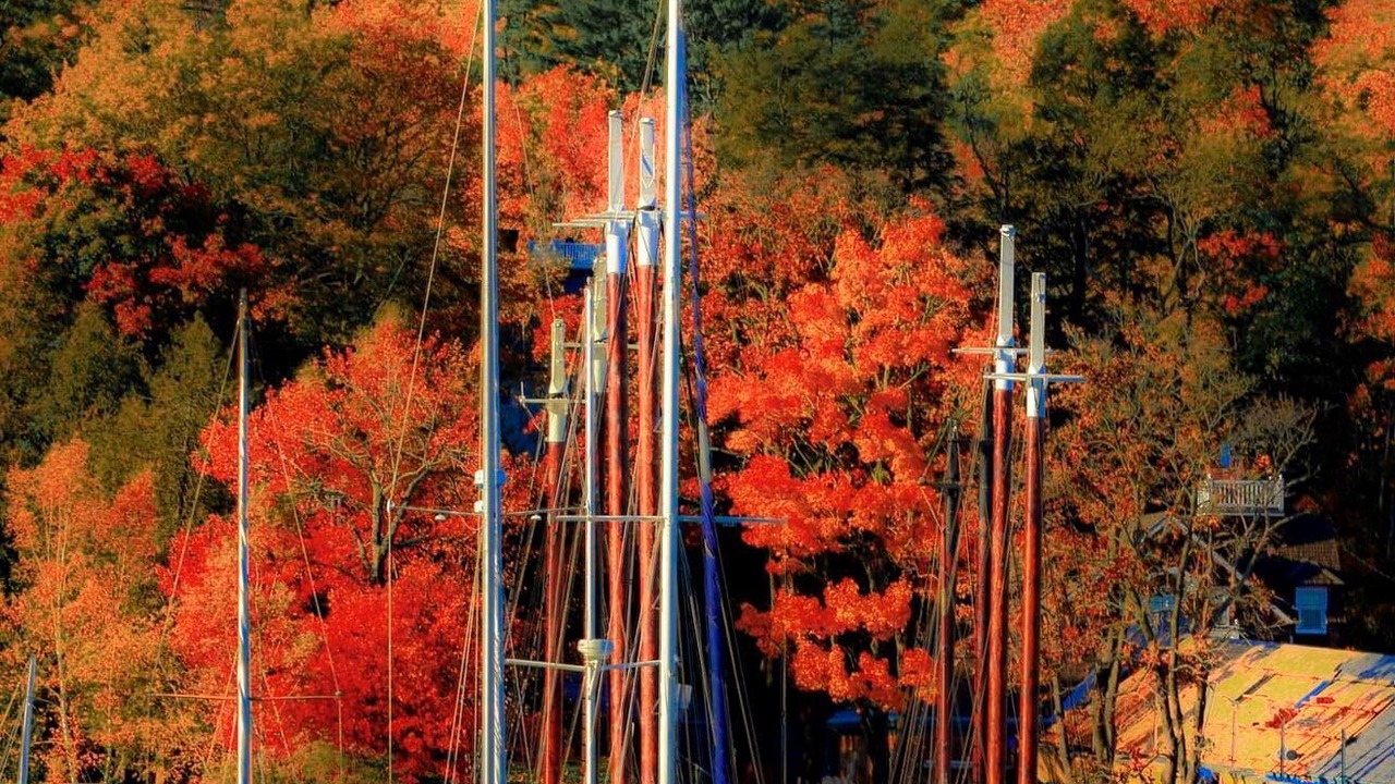 Photo of Others in Northport