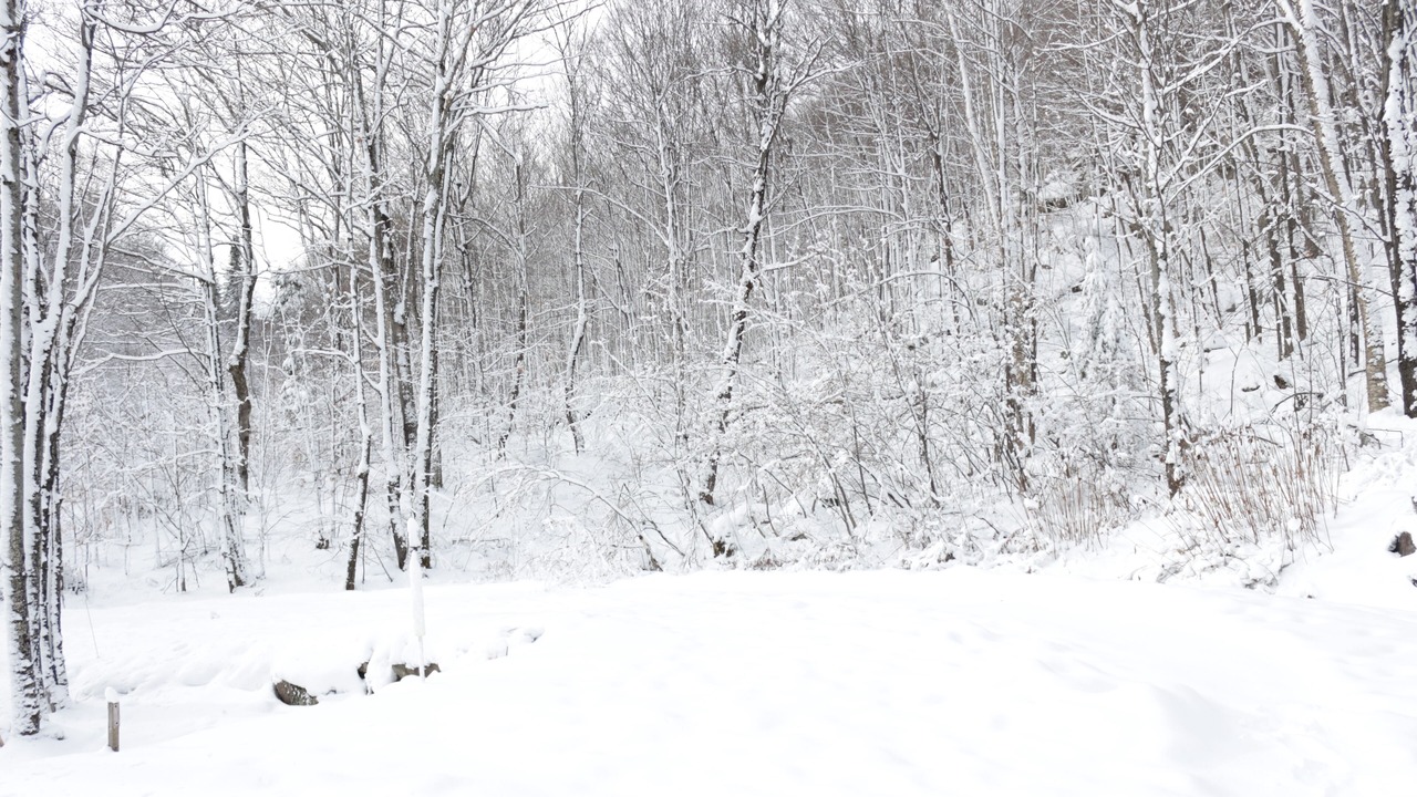 Photo of Others in St-Adolphe-d'Howard