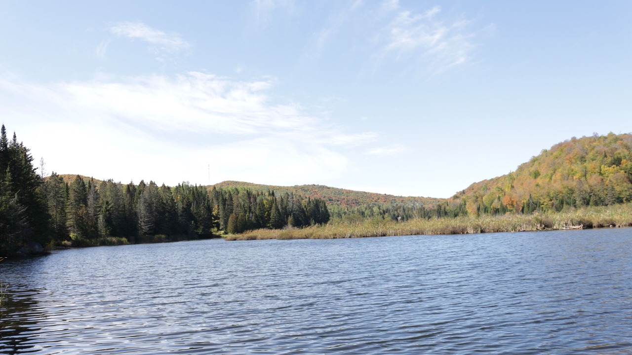 Photo of Others in St-Adolphe-d'Howard
