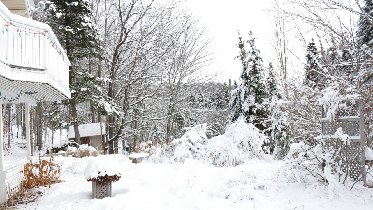 Photo of Outdoor in St-Adolphe-d'Howard