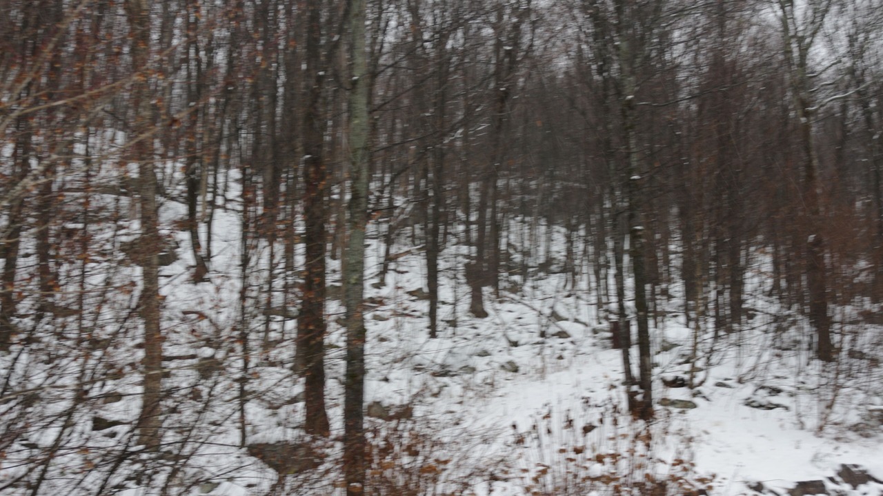 Photo of Others in St-Adolphe-d'Howard
