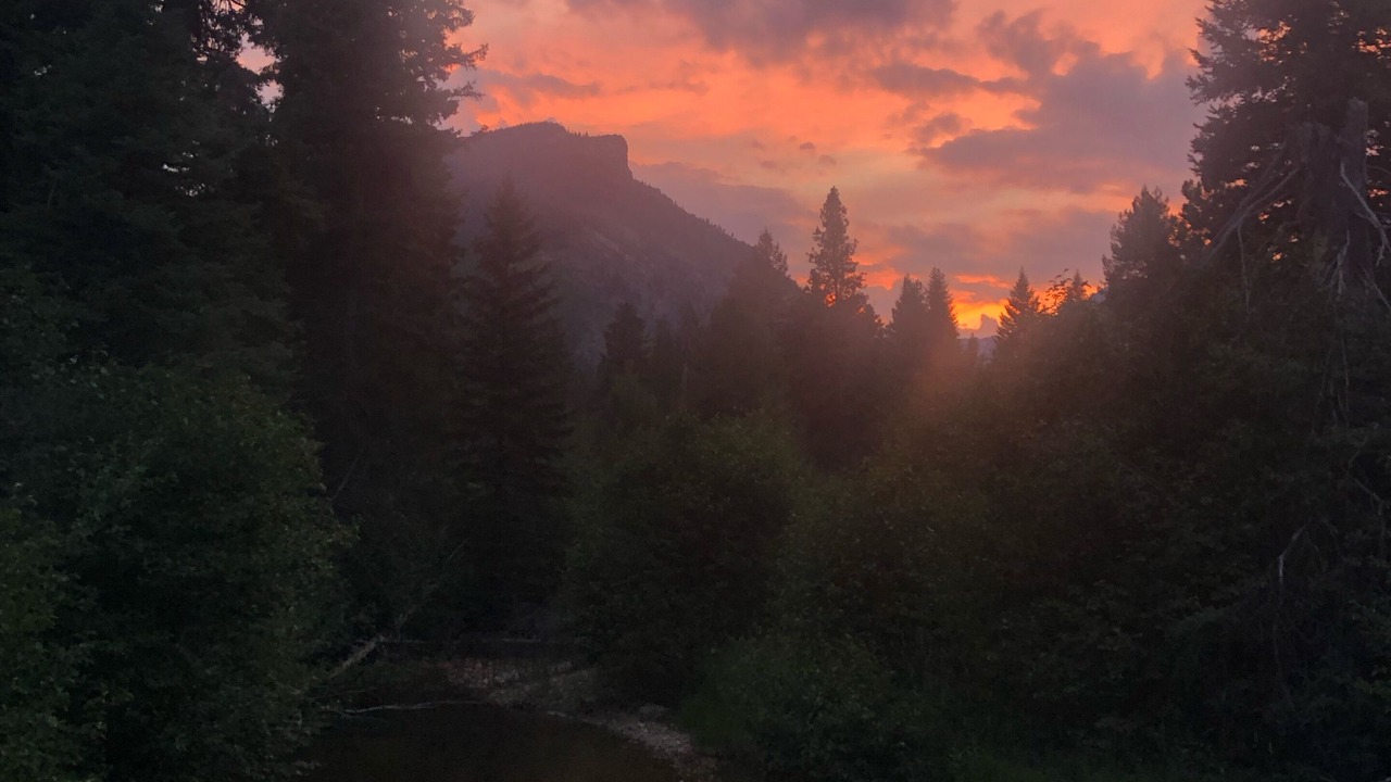 Photo of Others in Conner