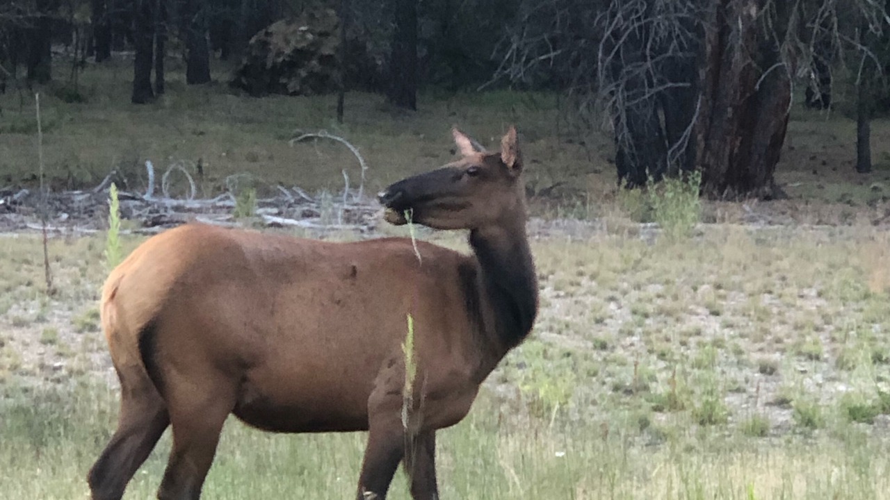 Photo of Others in Conner