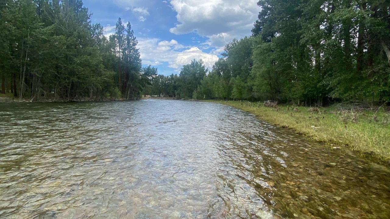 Photo of Others in Conner