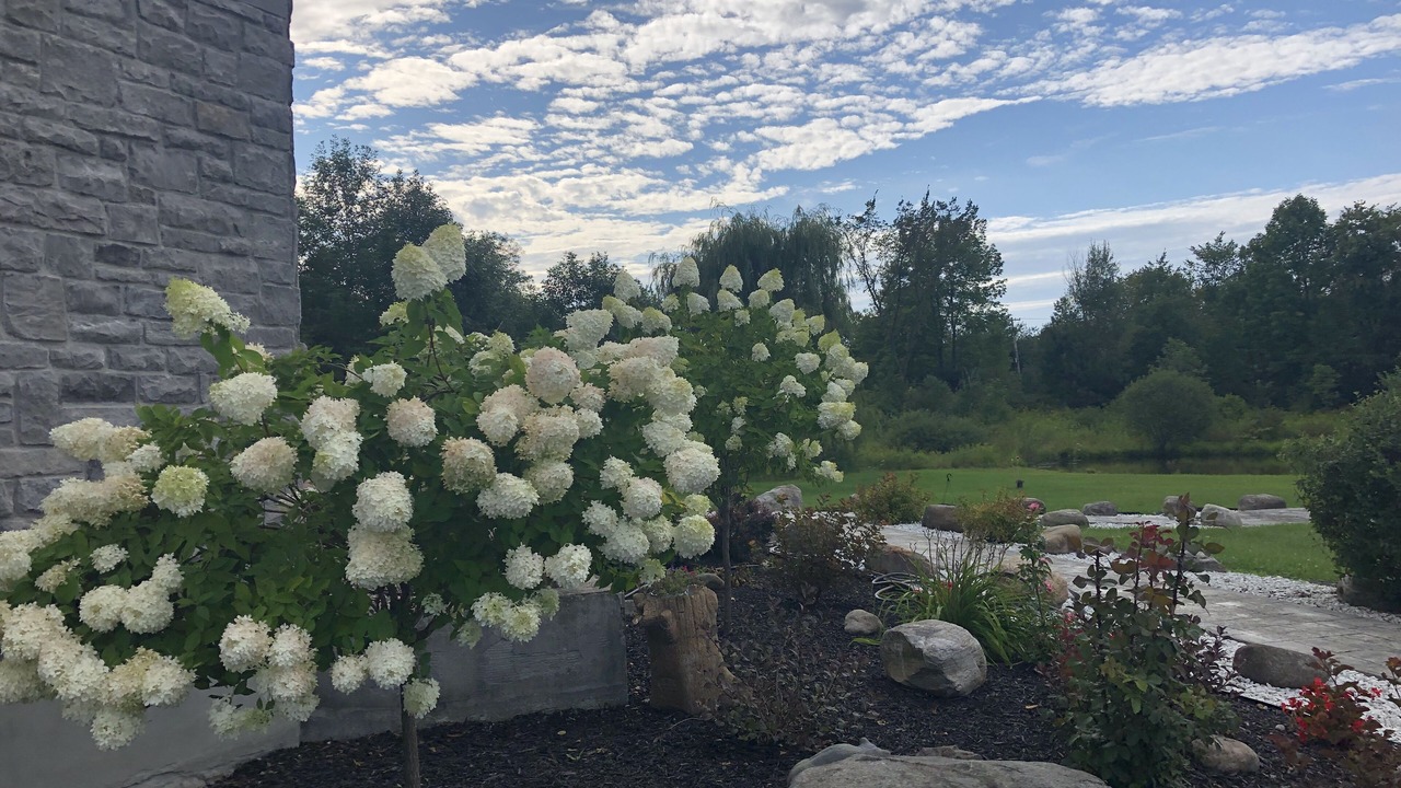 Photo of Outdoor in Rotterdam Junction