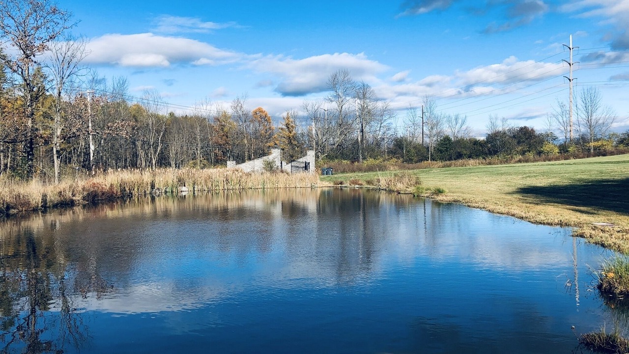 Photo of Outdoor in Rotterdam Junction