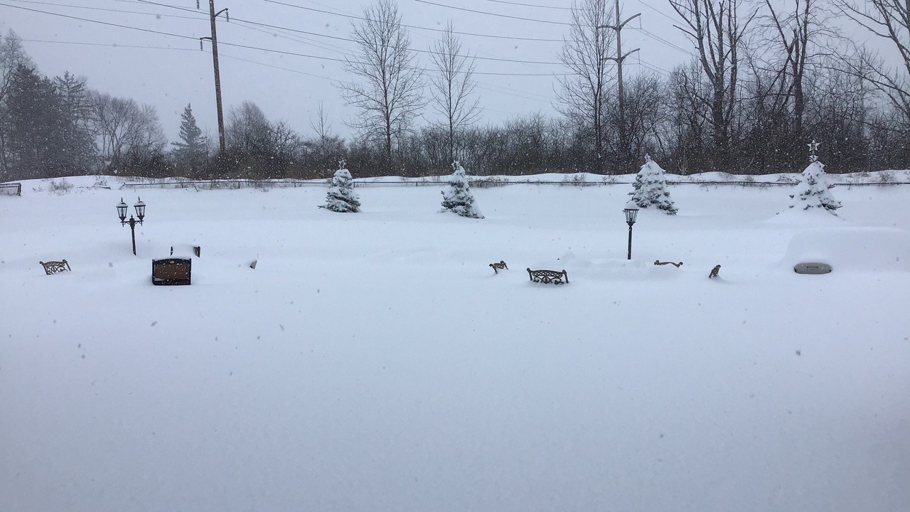 Photo of Others in Rotterdam Junction