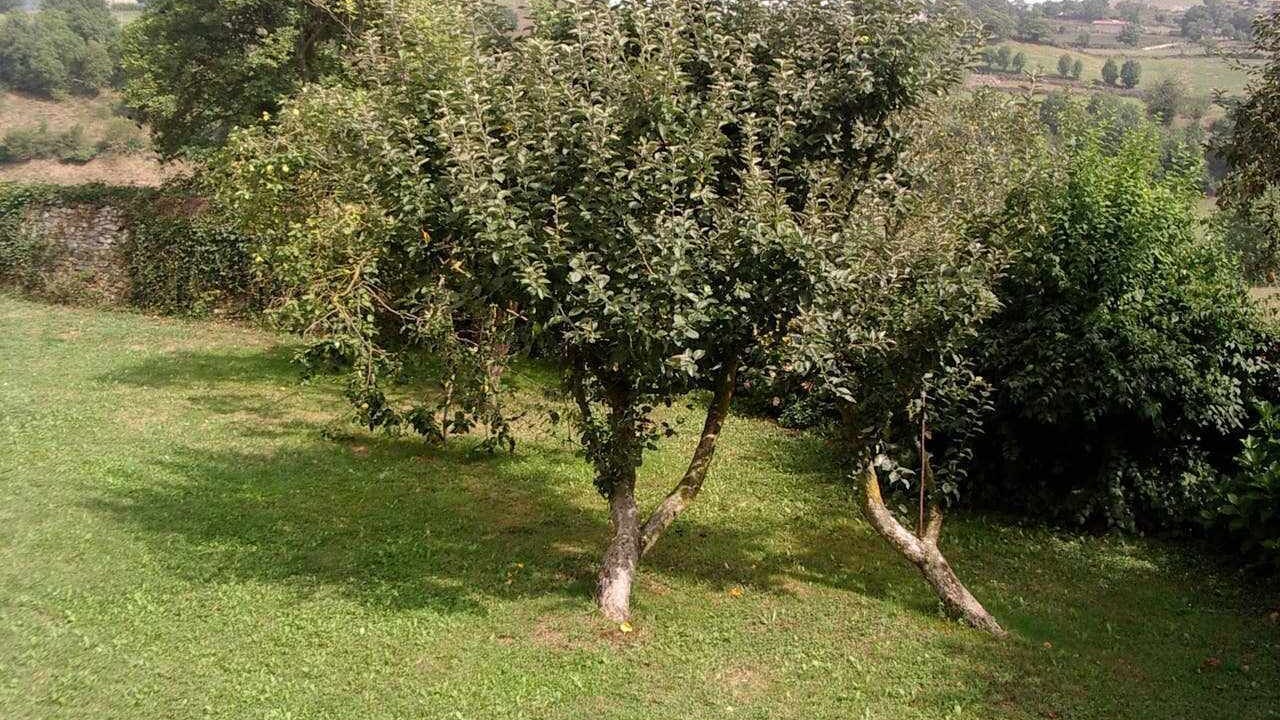 Photo of Outdoor in Labaien