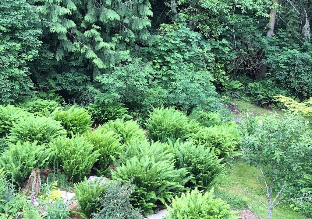 Photo of Outdoor in Adelma Beach