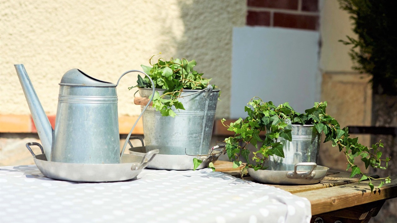 Photo of Others in Vouvray