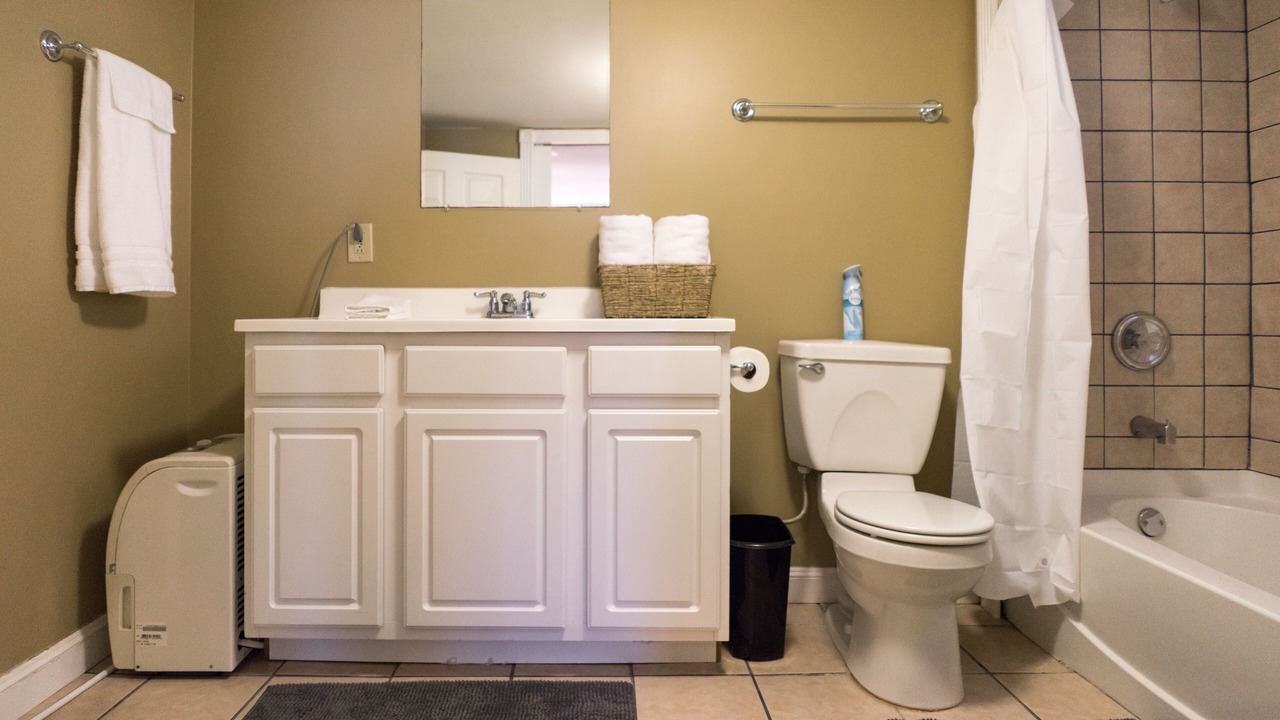 Photo of Bathroom in St. Louis