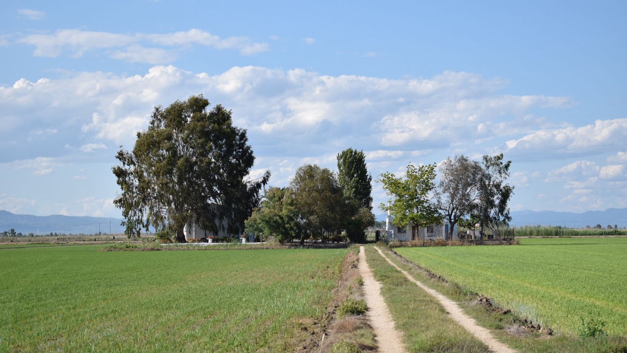 Photo of Outdoor in Amposta