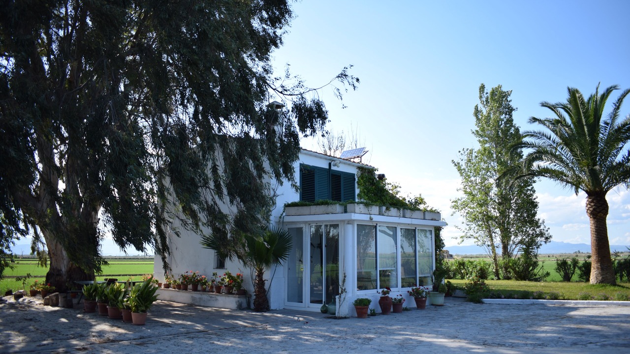 Photo of Outdoor in Amposta