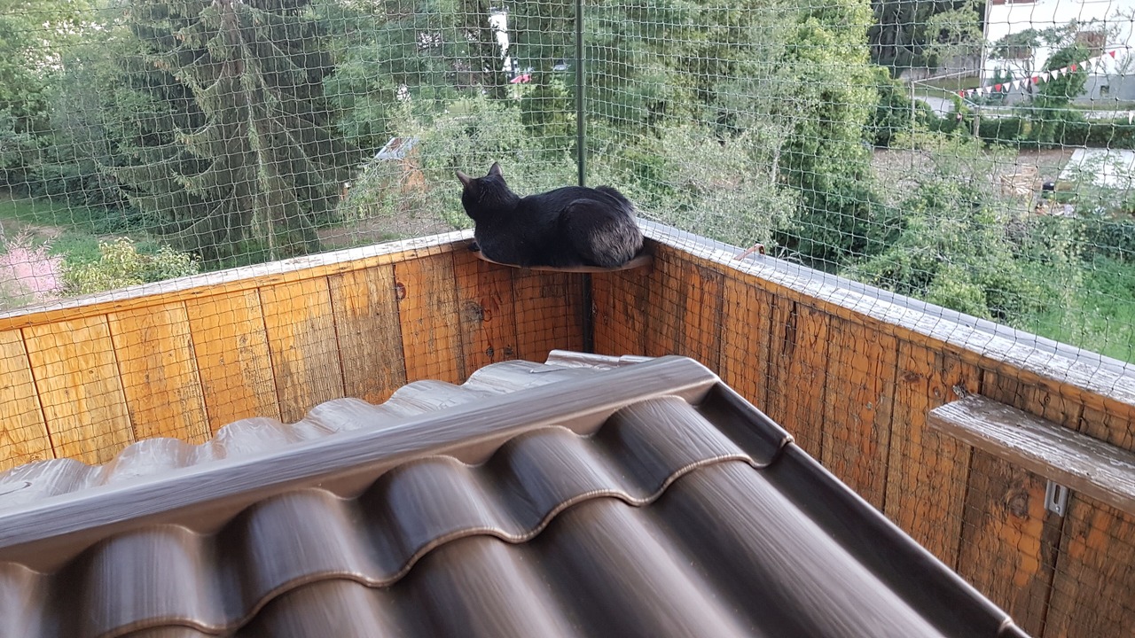 Photo of Outdoor in Reignier-Esery