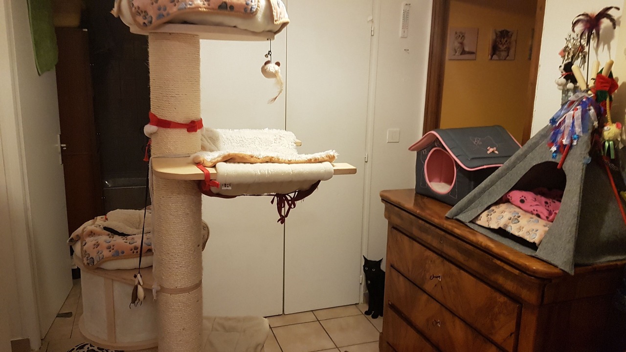 Photo of Others in Reignier-Esery