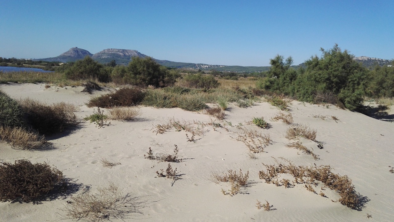 Photo of Others in Torroella de Montgri