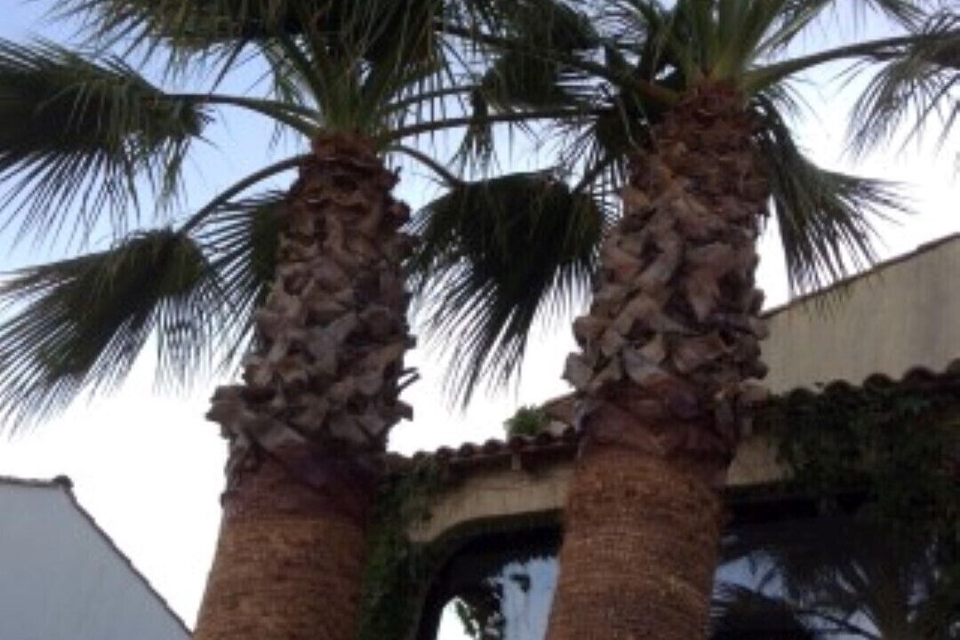 Photo of Outdoor in Pignan