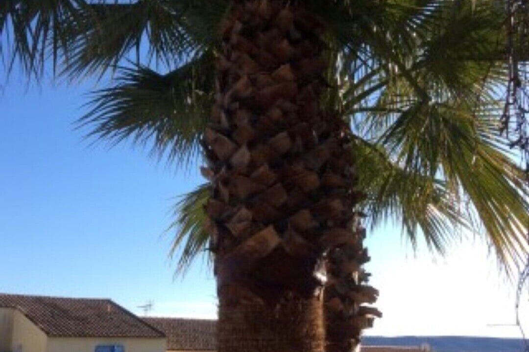 Photo of Outdoor in Pignan