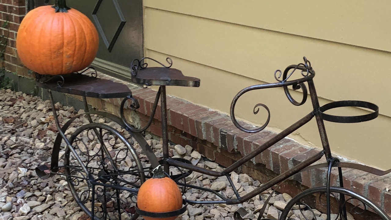 Photo of Outdoor in Lynn