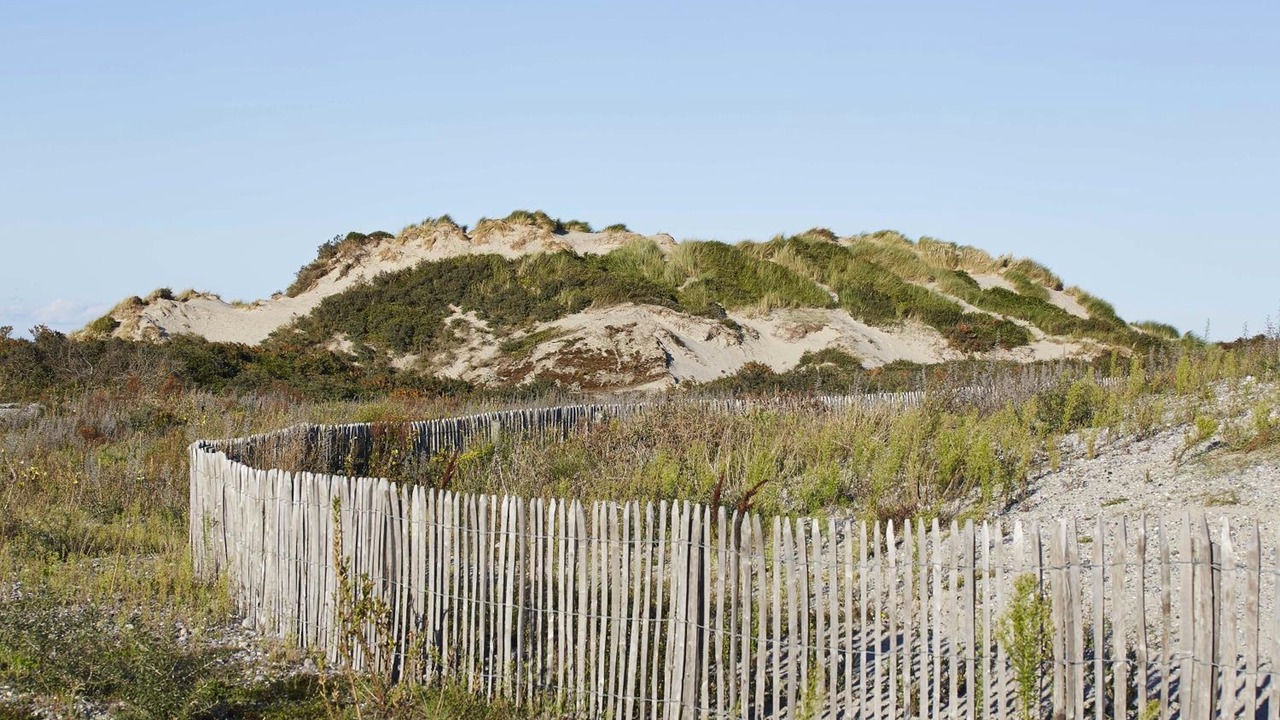 Photo of Outdoor in Ault