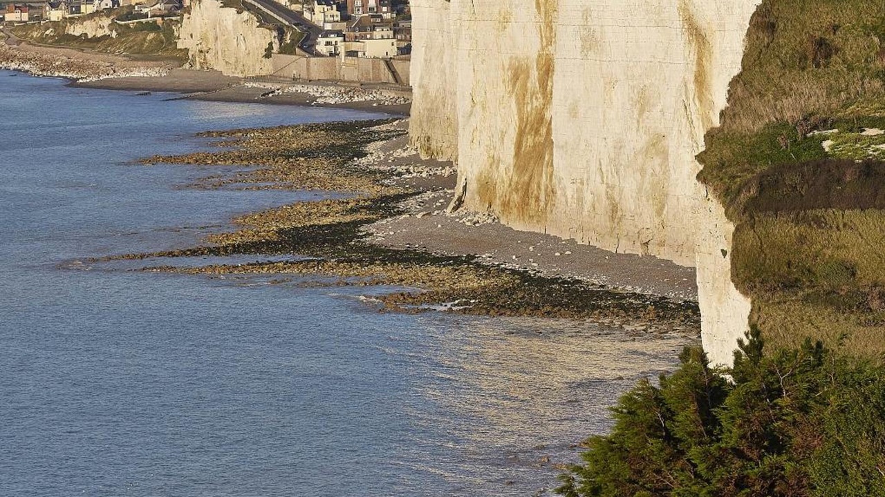 Photo of Others in Ault