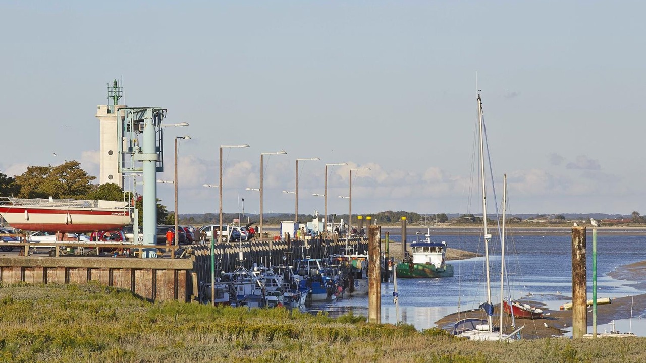 Photo of Others in Ault