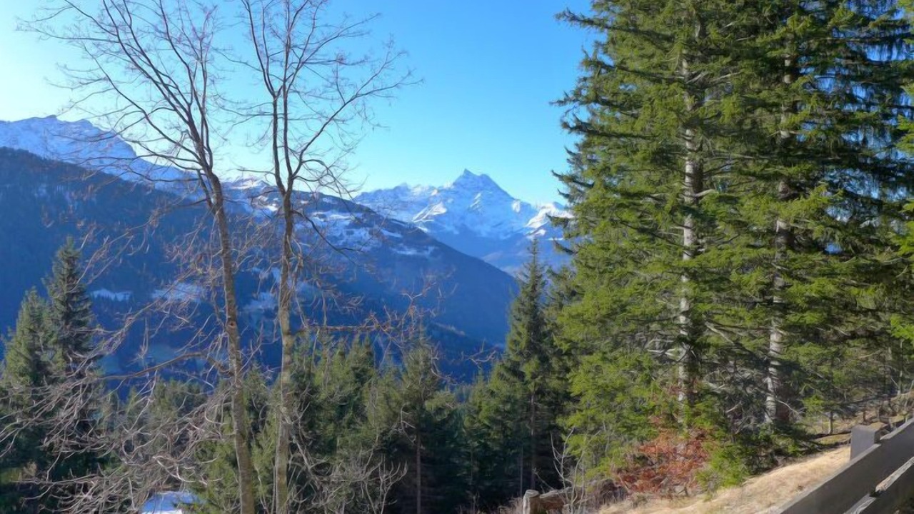 Photo of Others in Alpe des Chaux